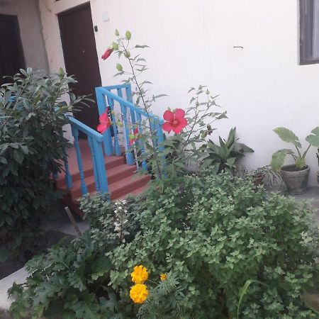 Guesthouse Zeinabi Tbilisi Exteriör bild